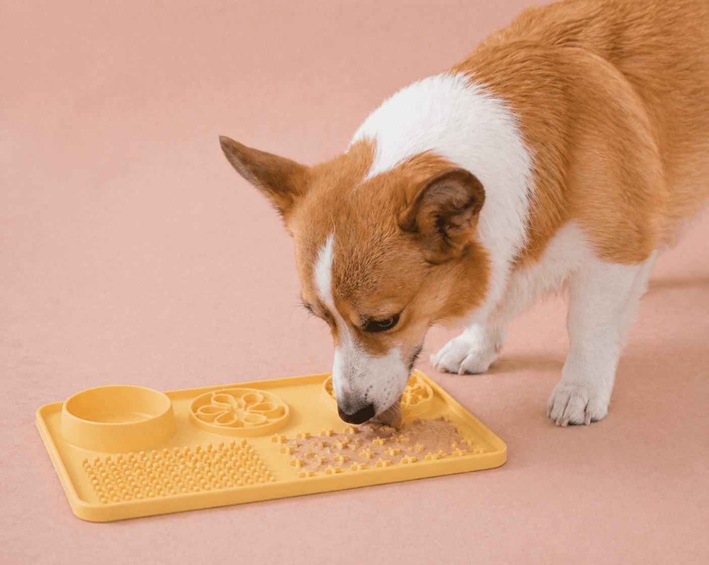 Lick Mat — detail view 2