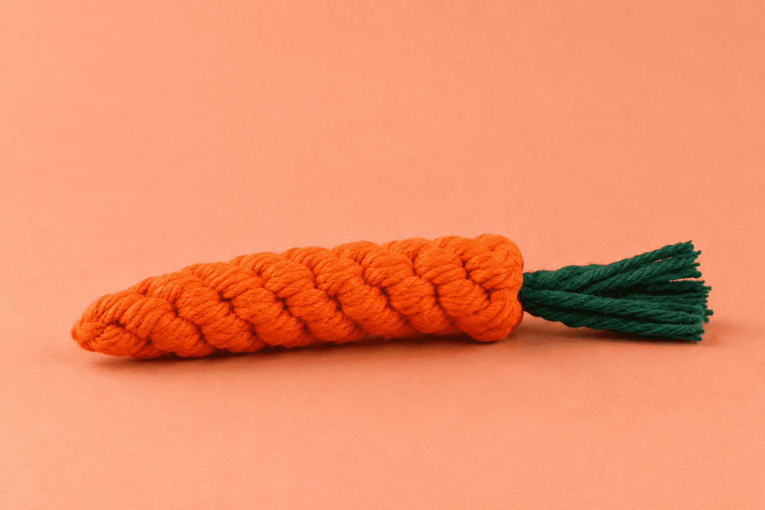 Orange carrot-shaped rope tug toy with green rope end