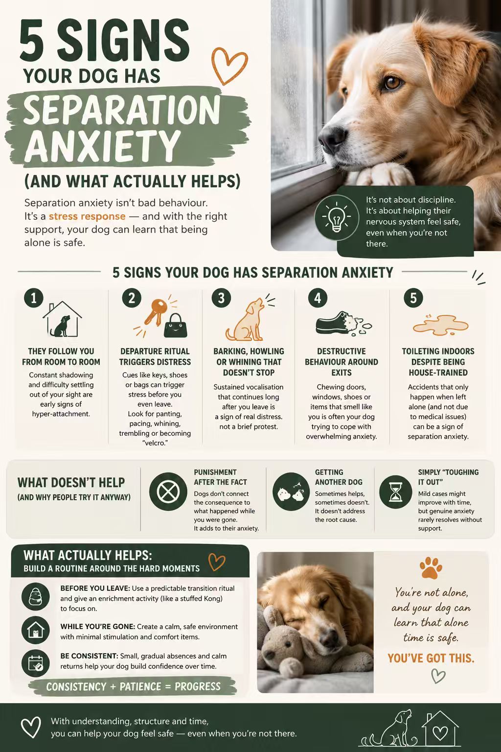 Infographic showing five signs of separation anxiety in dogs
